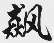 飙