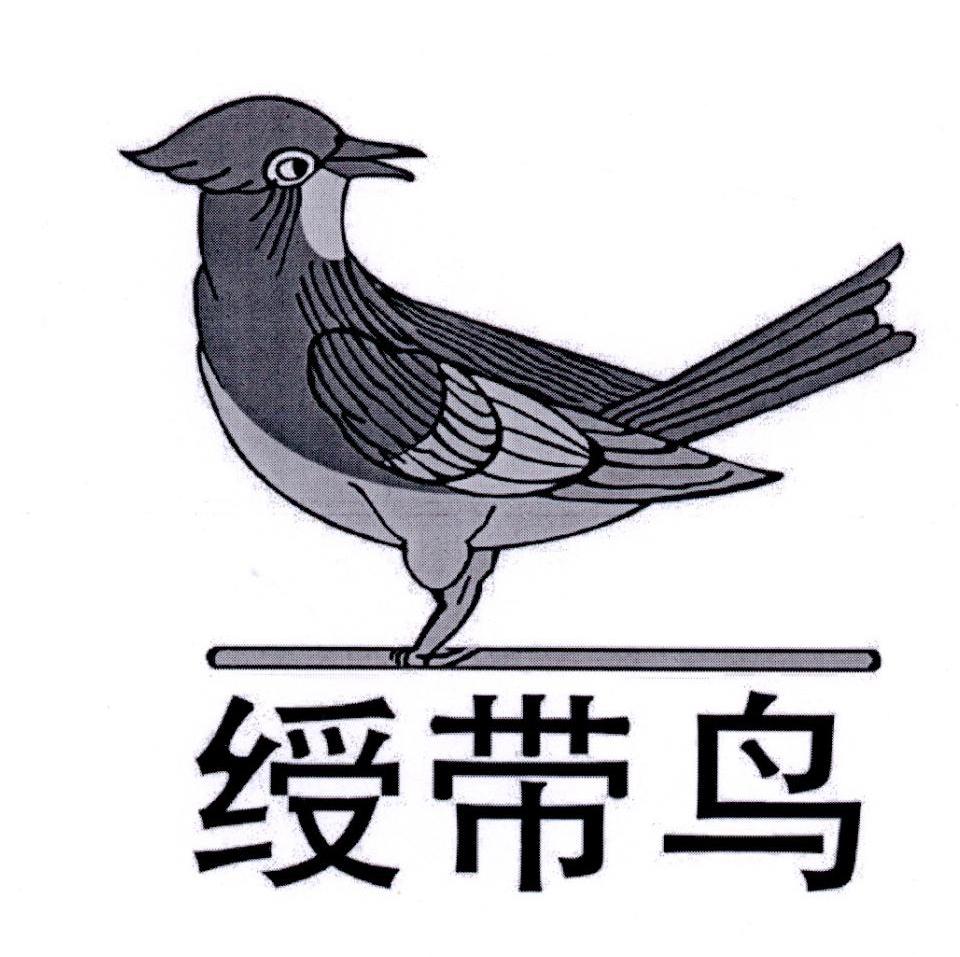 绶带鸟
