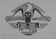夜鹰