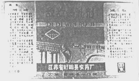 大桥