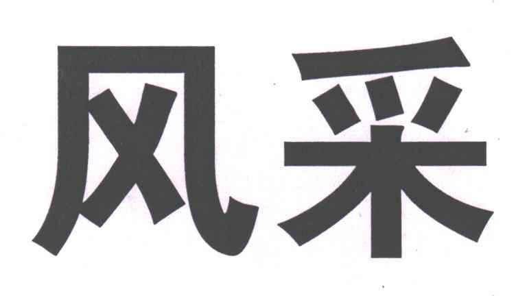 风采