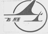 飞雁