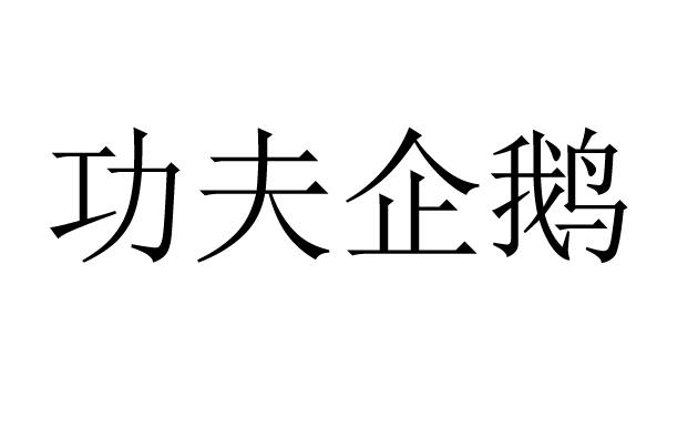 功夫企鹅
