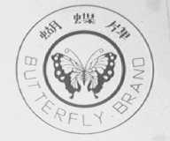 蝴蝶    BUTTERFLY