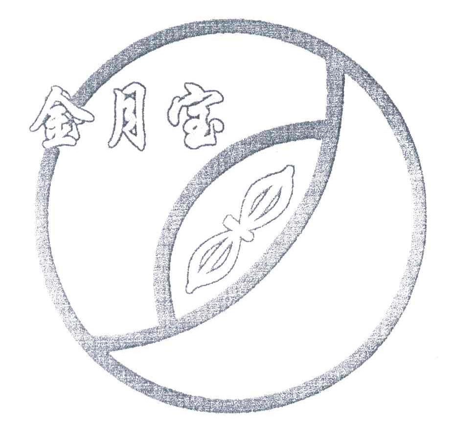 金月宝