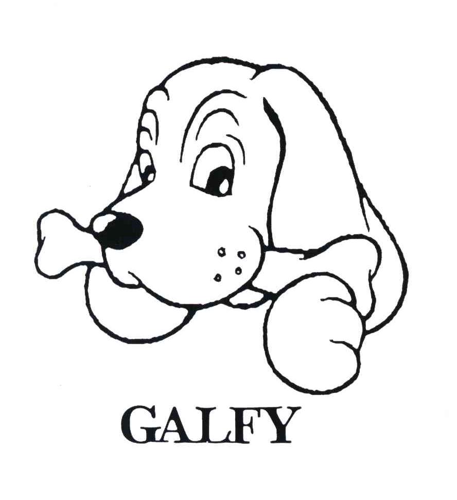 GALFY