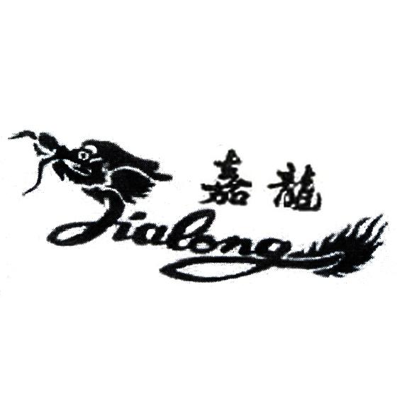 嘉龙