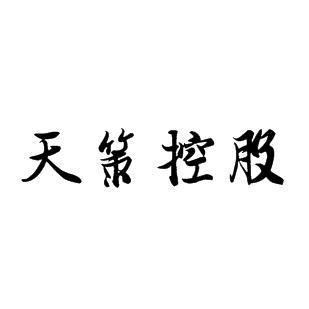 天策控股