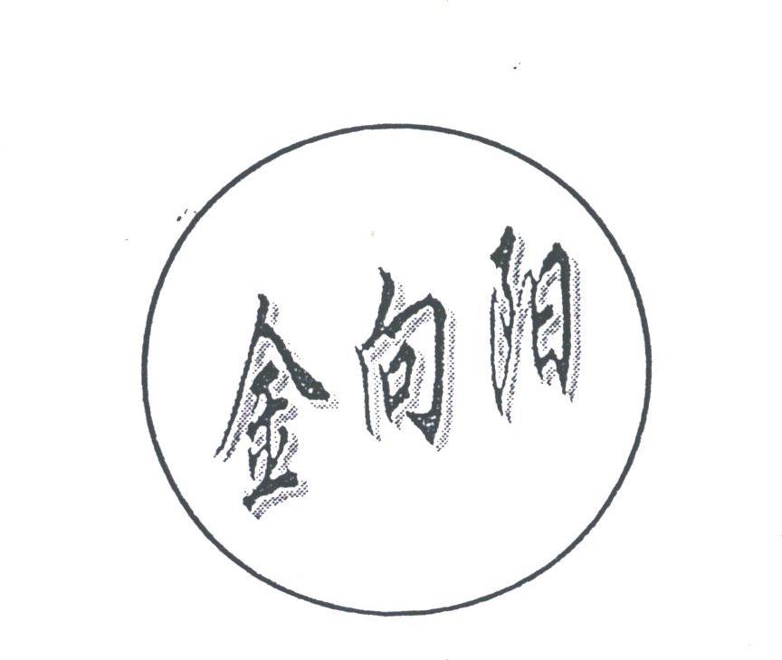金向阳