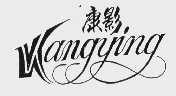 康影