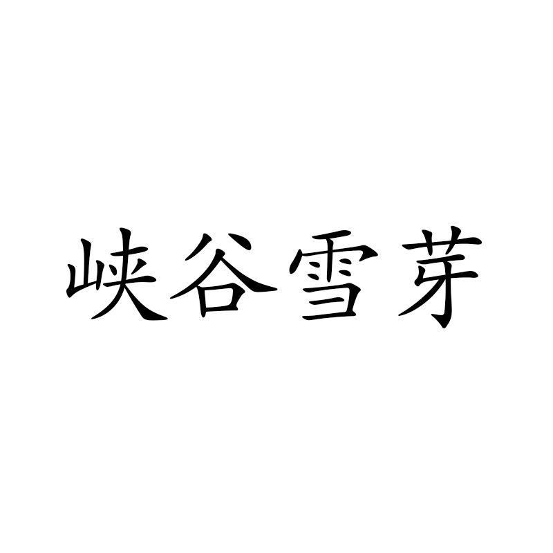 峡谷雪芽