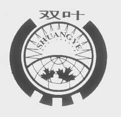 双叶