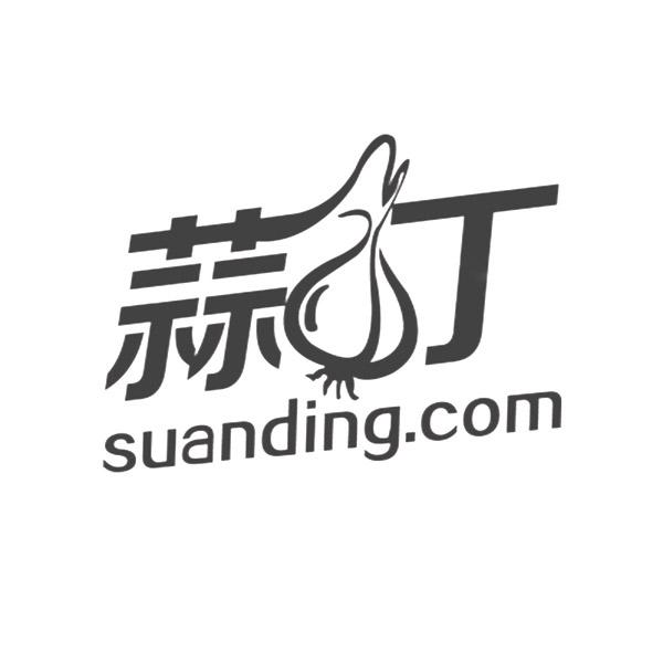 蒜丁 SUAN DING.COM
