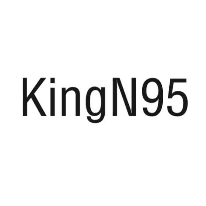 KINGN95