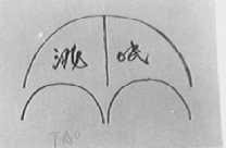 洮岷