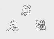 大笨梨