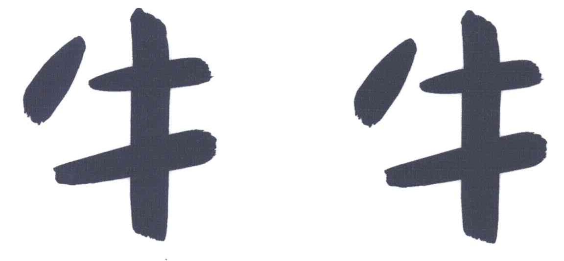 牛牛