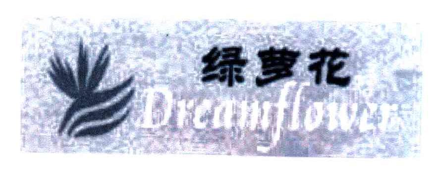 绿萝花;DREAMFLOWER