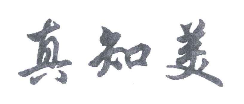 真知美