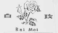 白玫