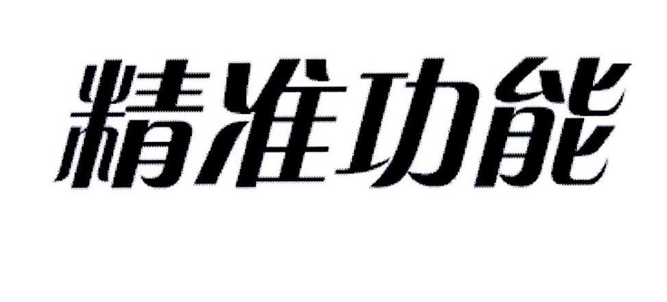 精准功能