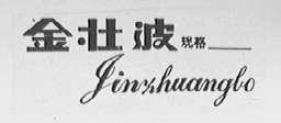 金壮波