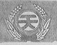 天字