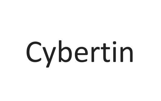 CYBERTIN