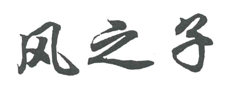 风之子