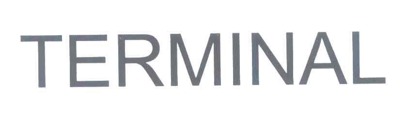 TERMINAL