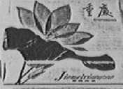 重庆