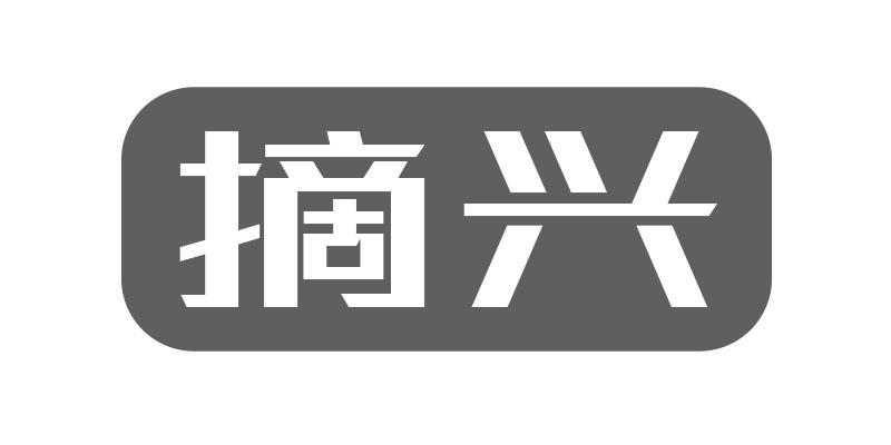 摘兴