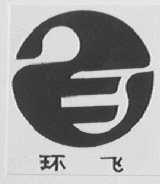 环飞