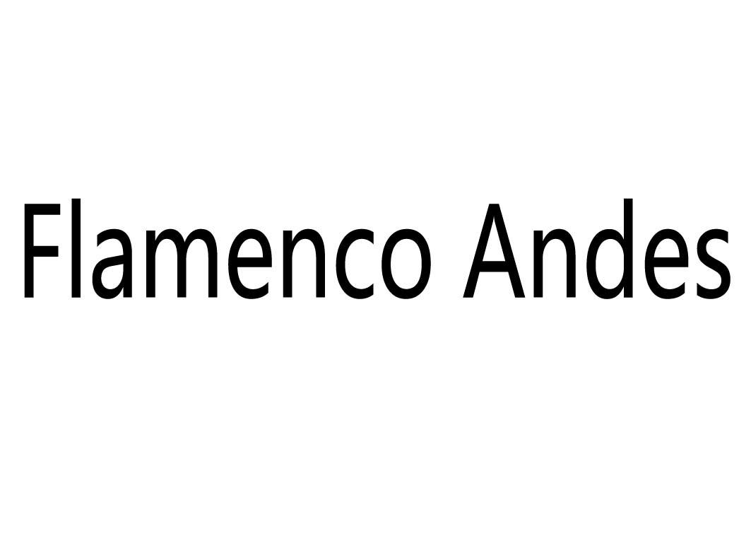 FLAMENCO ANDES