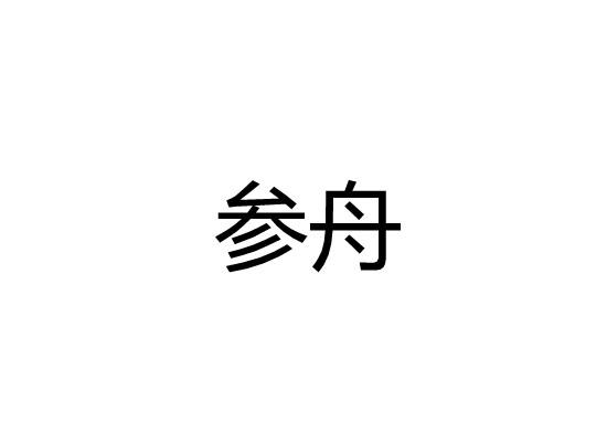 参舟