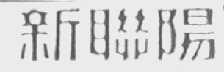 新联阳