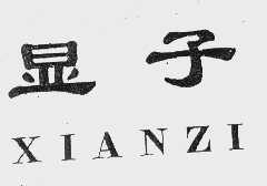 显子
