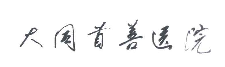 大同首善医院