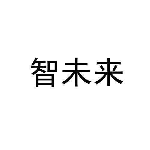 智未来