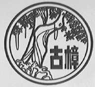 古樟
