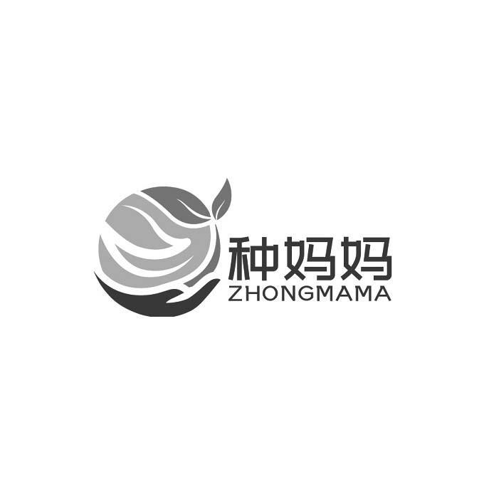 种妈妈