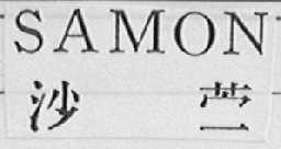 SAMON    沙蒙