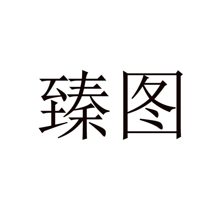 臻图