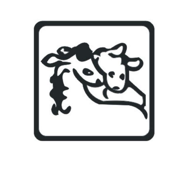 图形
