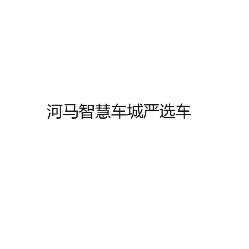 河马智慧车城严选车