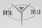 胜利