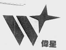 伟星