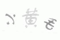 小黄毛