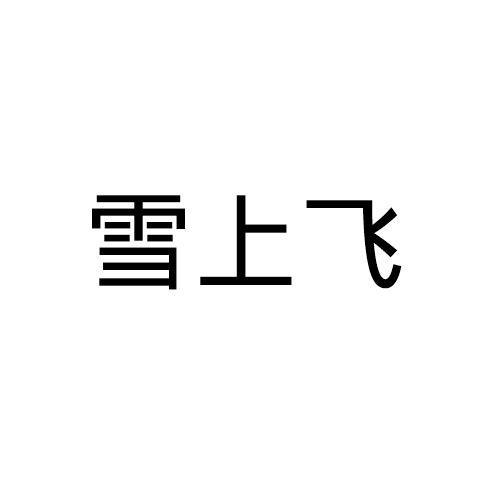 雪上飞
