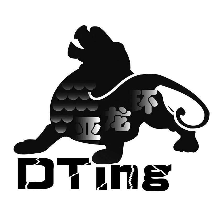DTING 亚龙环
